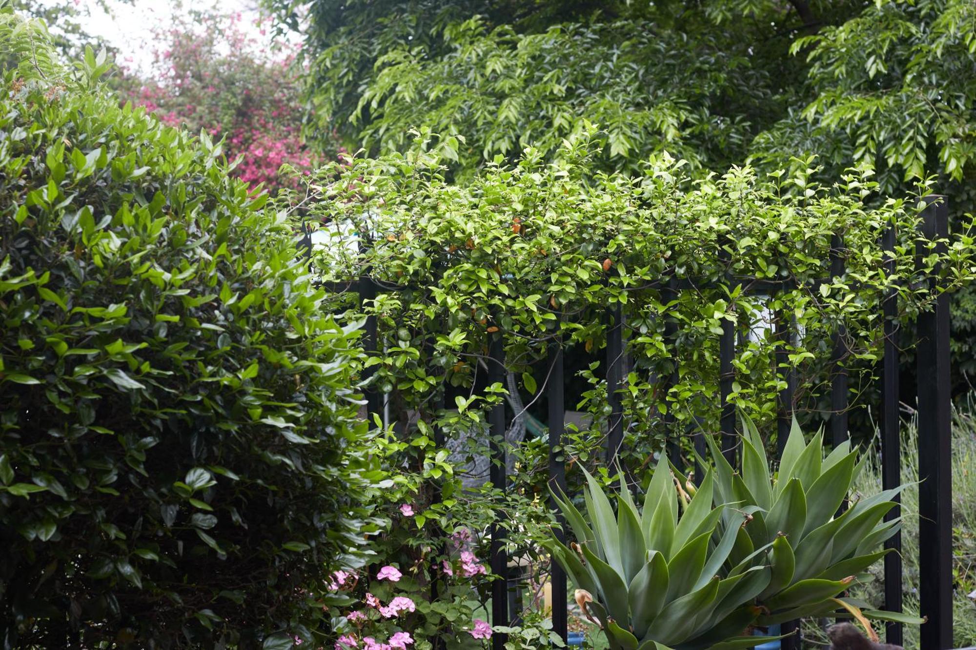 De Akker Guest House אאודטסהורן מראה חיצוני תמונה