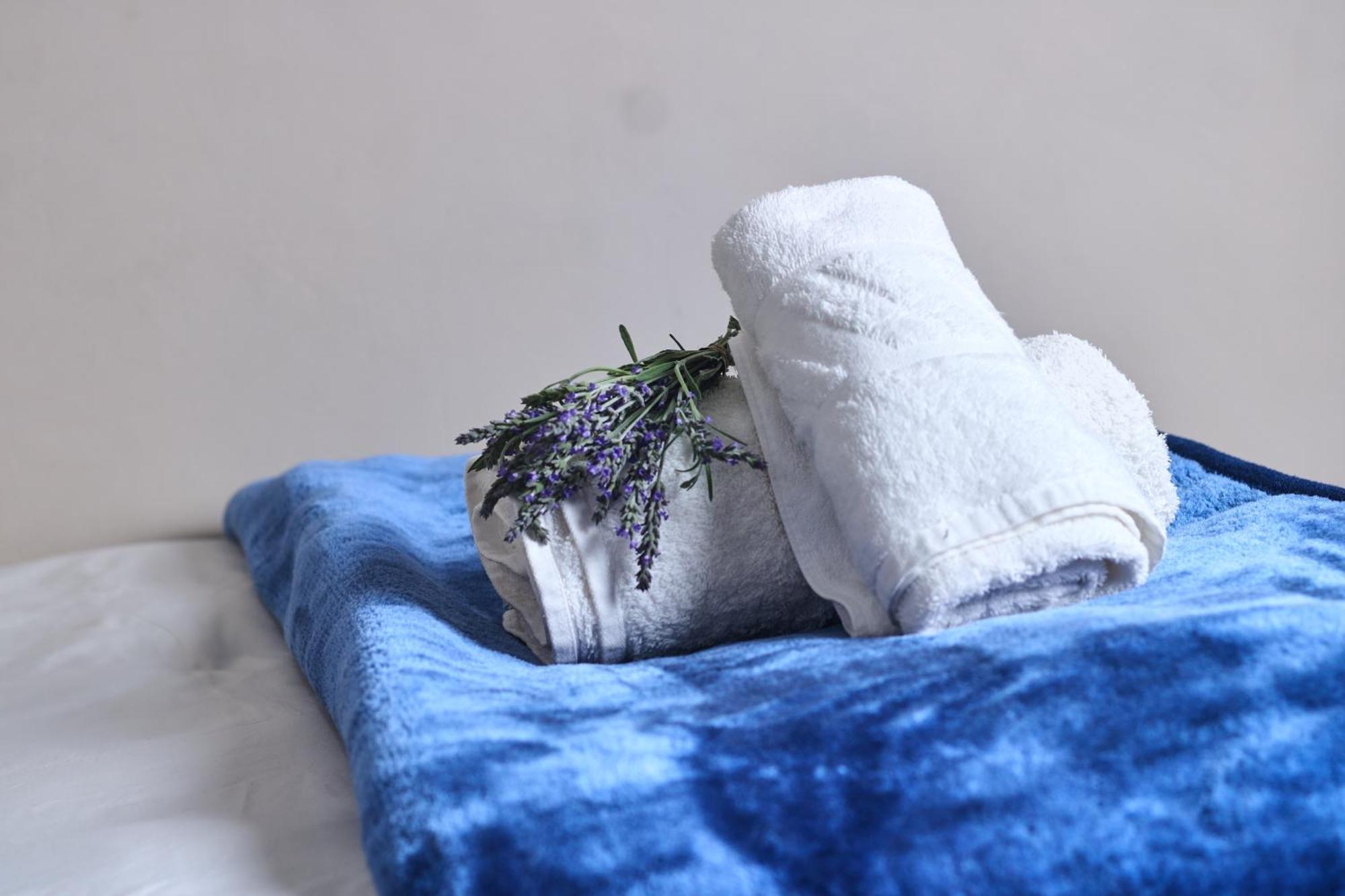 De Akker Guest House אאודטסהורן מראה חיצוני תמונה